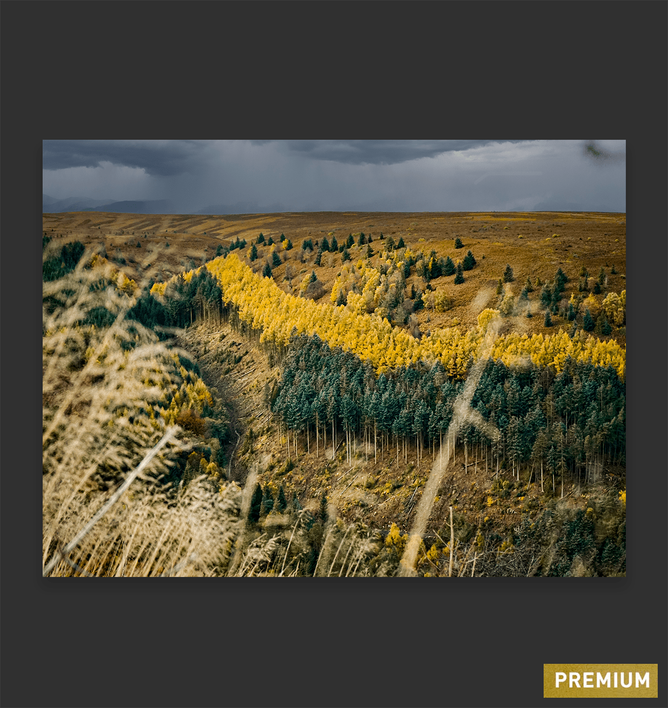 Autumn in Wales