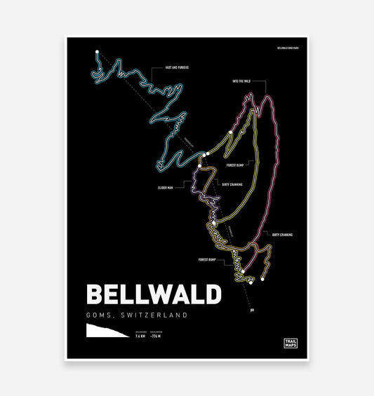 Bellwald Mountain Bike Art Print