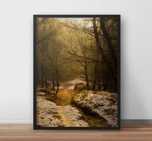 Cannock Chase Trails Art Print