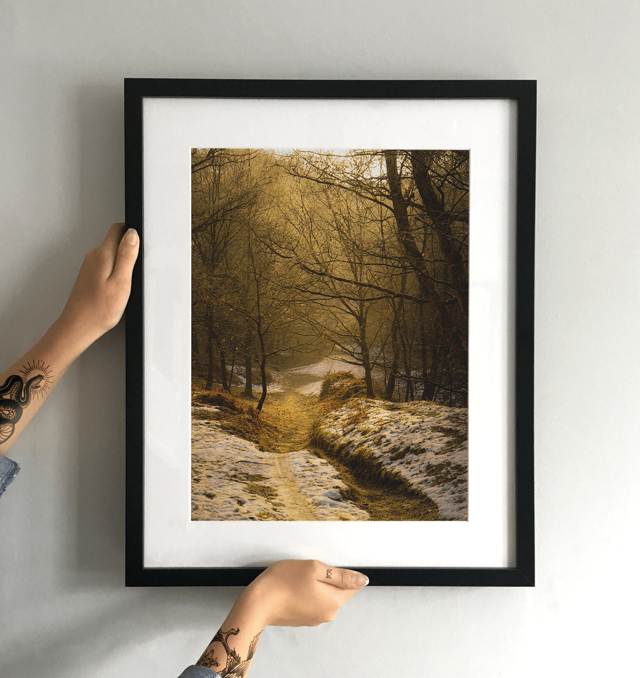 Cannock Chase Trails Art Print