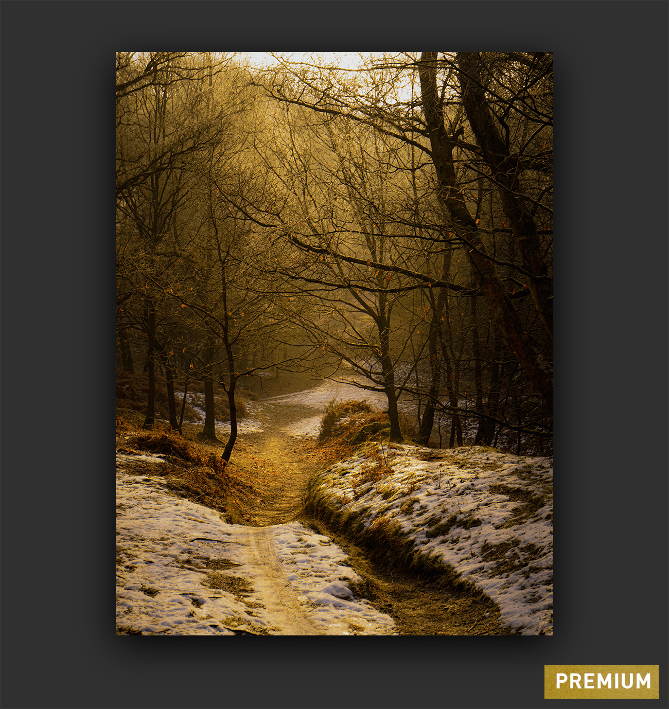 Cannock Chase Trails Art Print