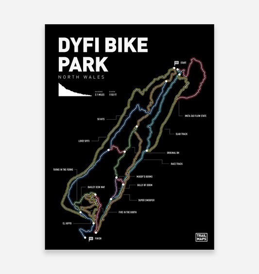 Dyfi Bike Park Kunstdruck