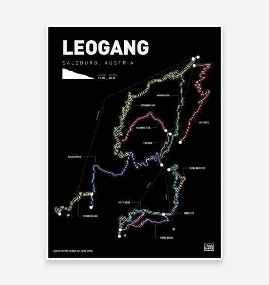 Leogang Saalbach Bike Park Art Print