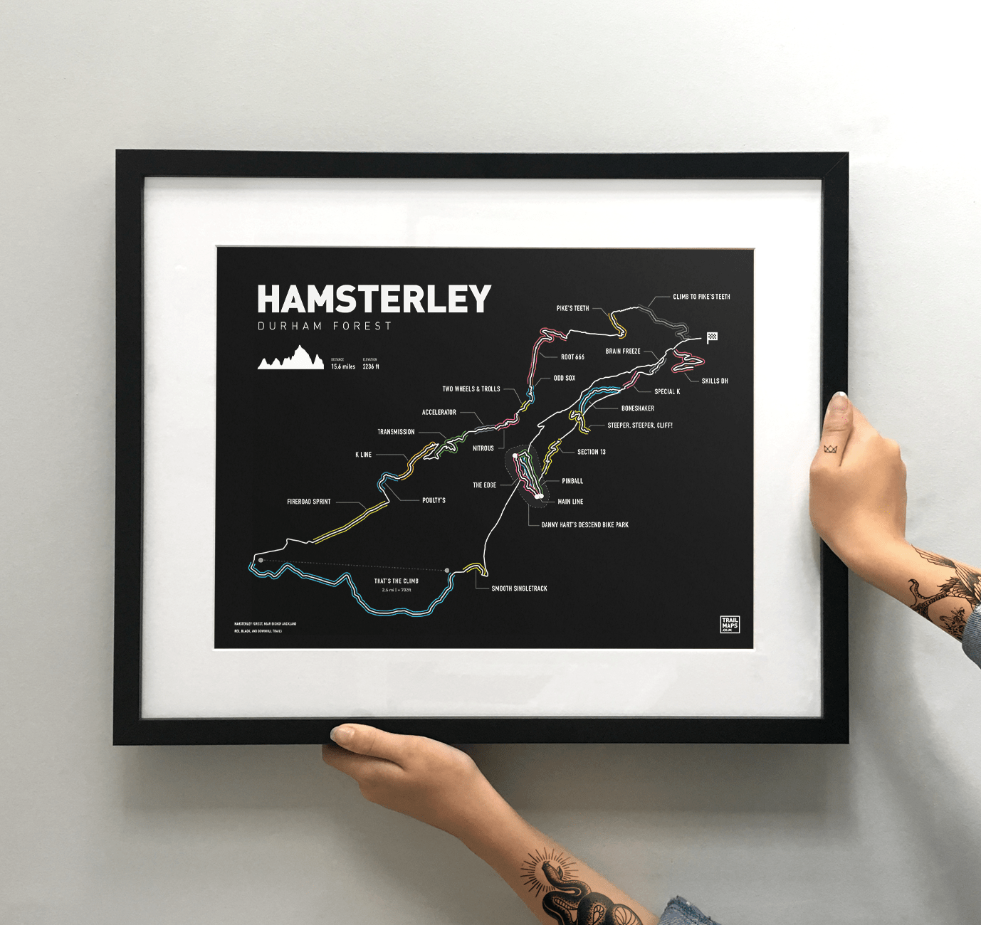 Hamsterley Art Print - TrailMaps.co.uk