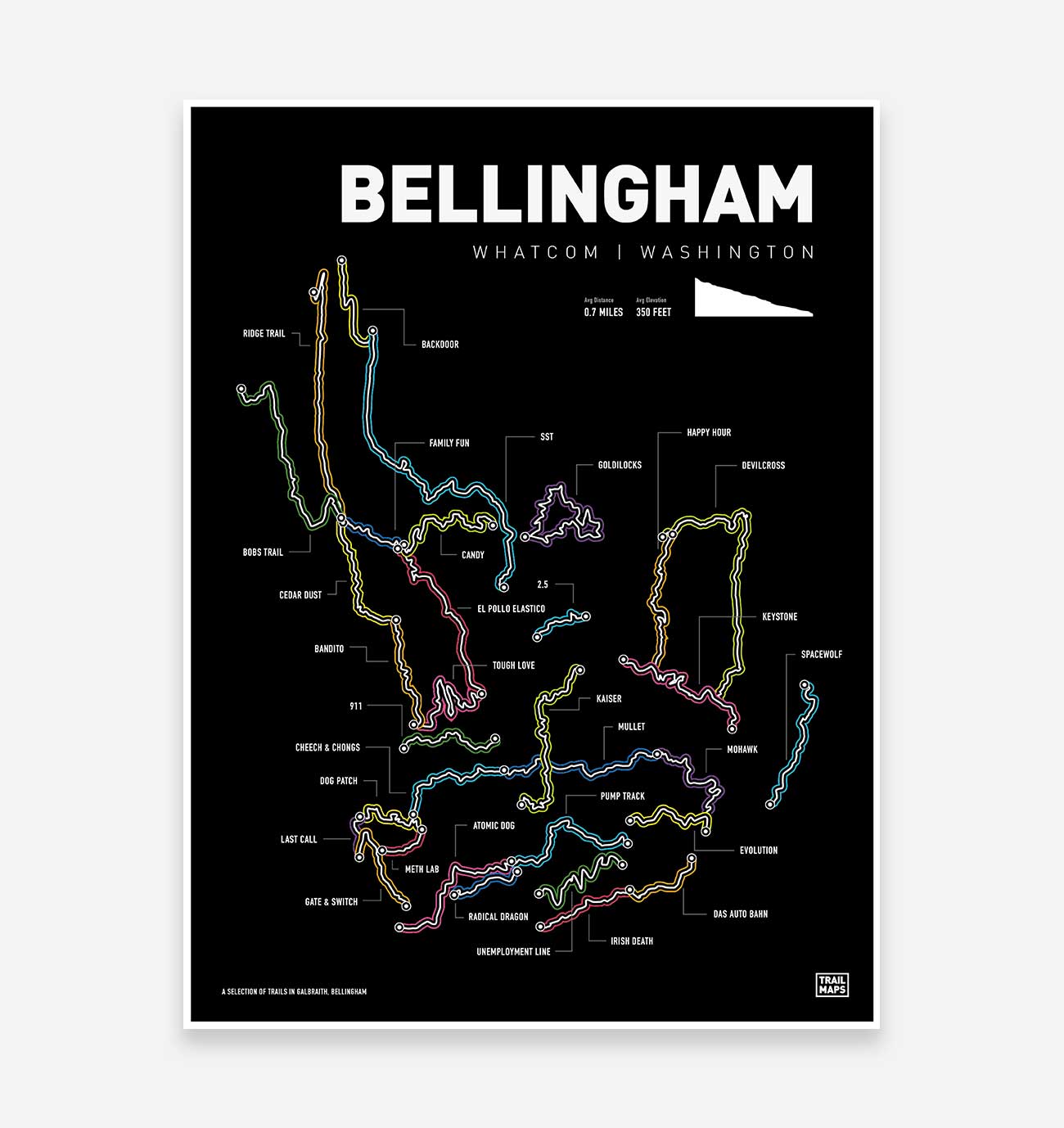 Bellingham Washington Mountainbike Kunstdruck