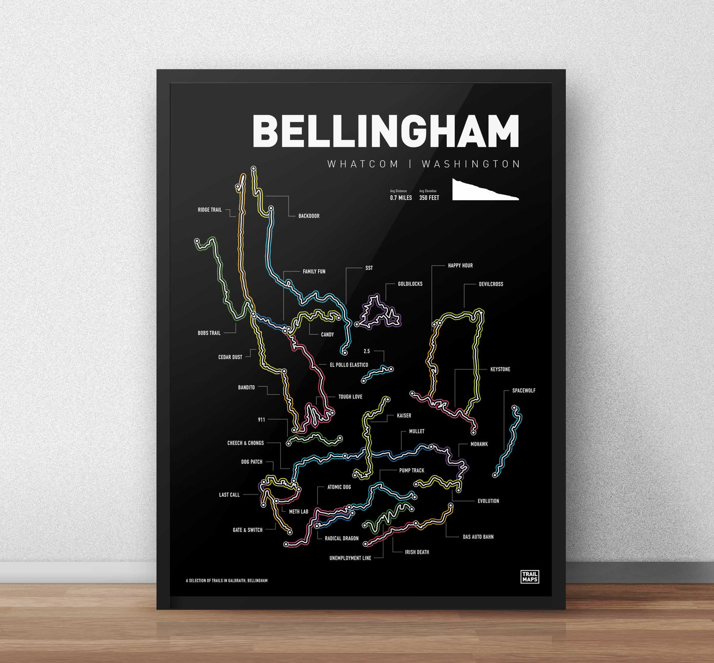 Bellingham Washington Mountainbike Kunstdruck