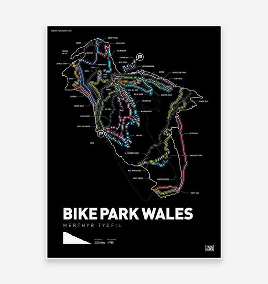 Bike Park Wales Art Print