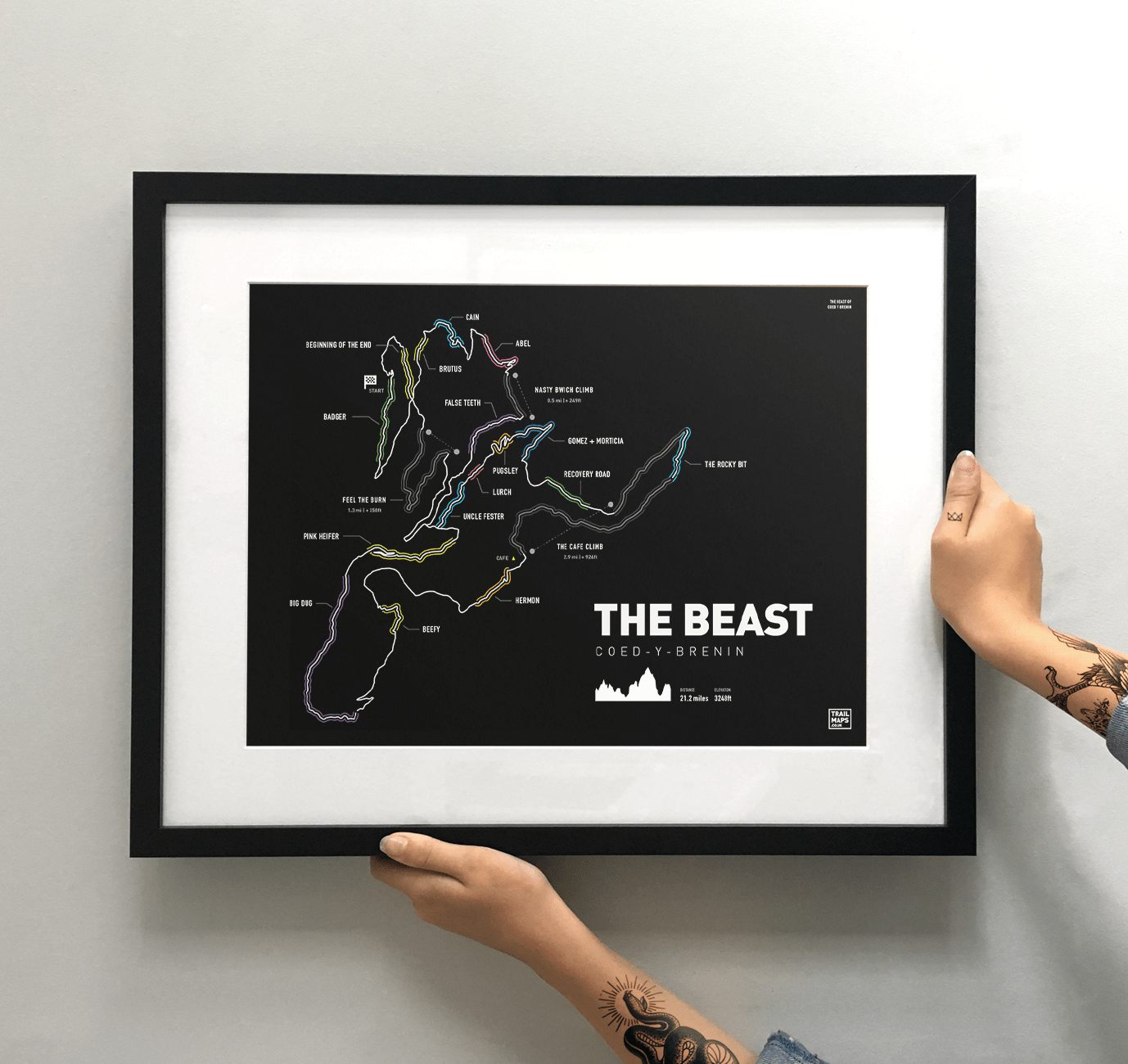 The Beast at Coed Y Brenin - TrailMaps.co.uk