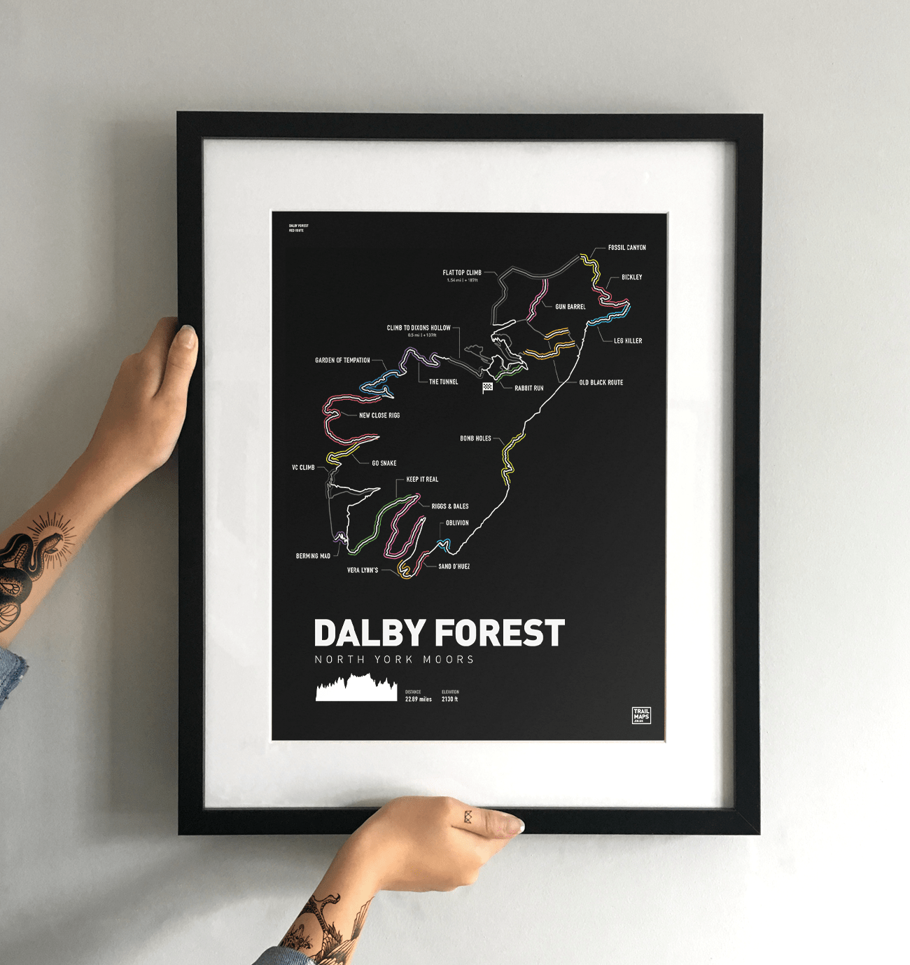 Dalby Forest Art Print - TrailMaps.co.uk