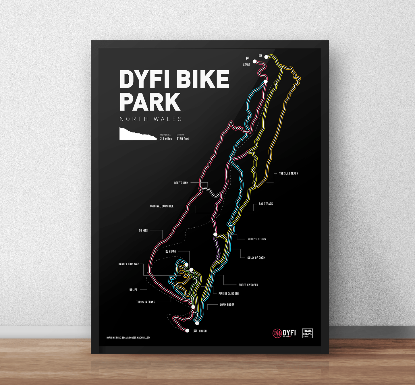 Dyfi Bike Park Art Print
