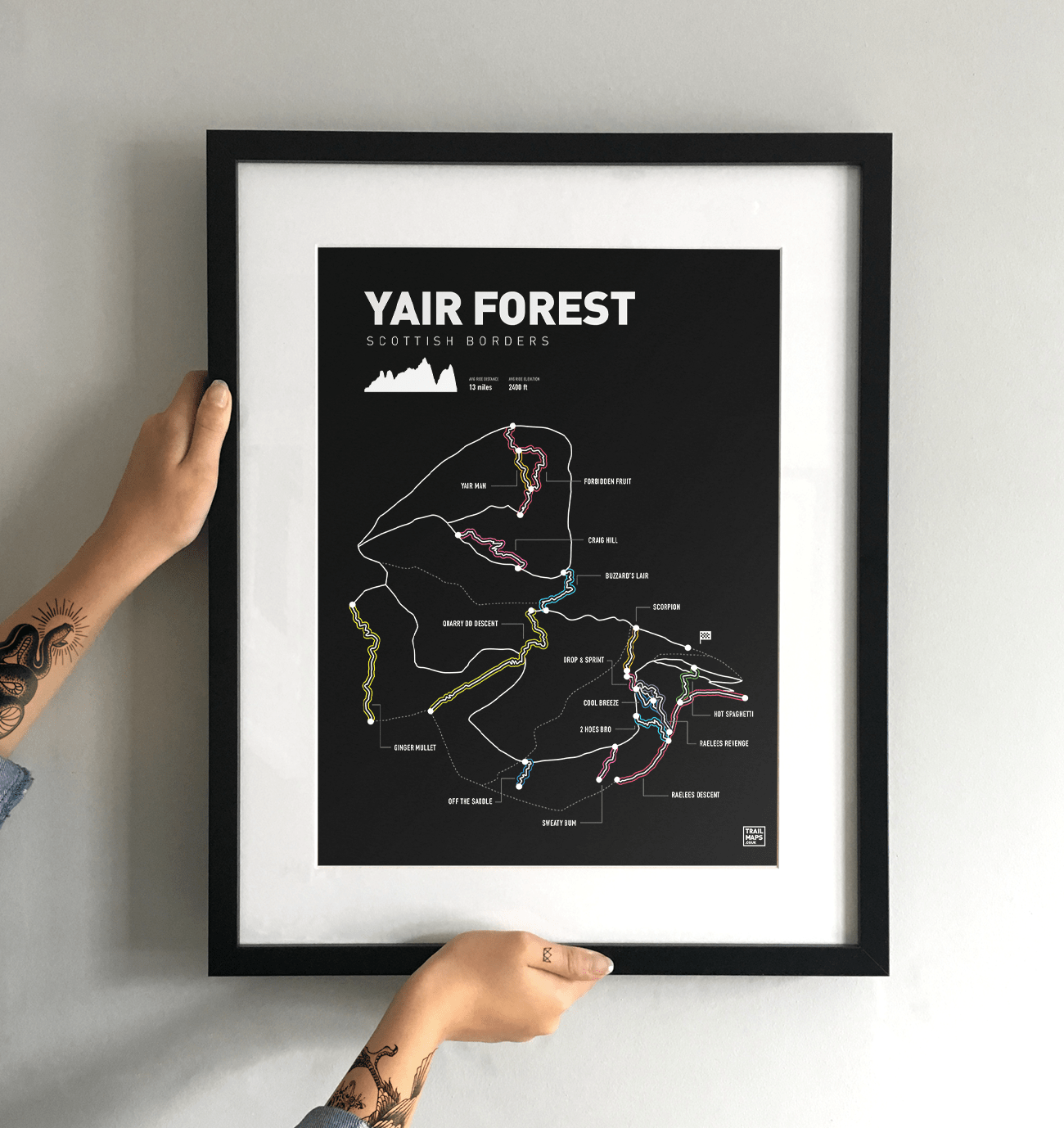 Yair Forest Art Print - TrailMaps.co.uk