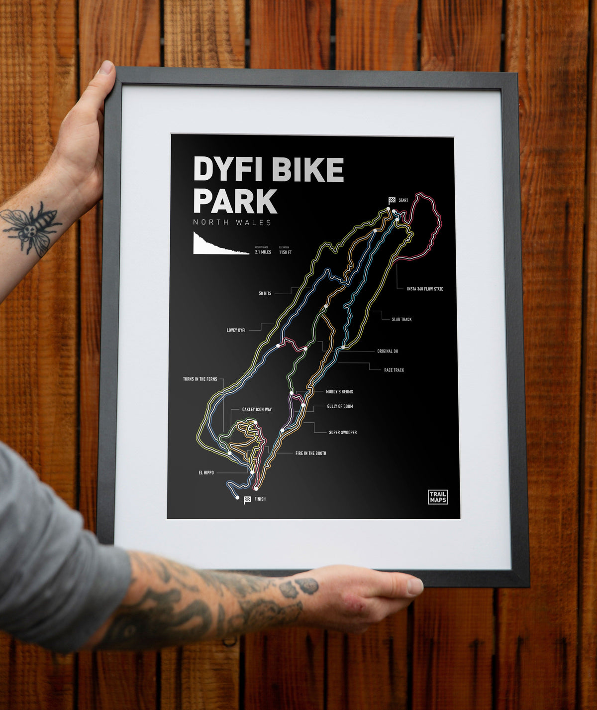 Dyfi Bike Park Art Print - TrailMaps