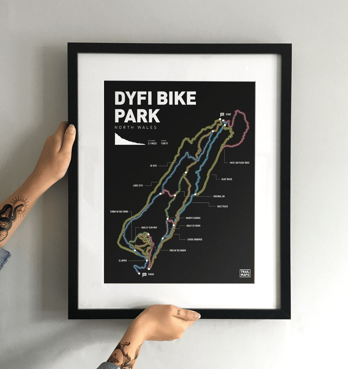 Dyfi Bike Park Art Print - TrailMaps