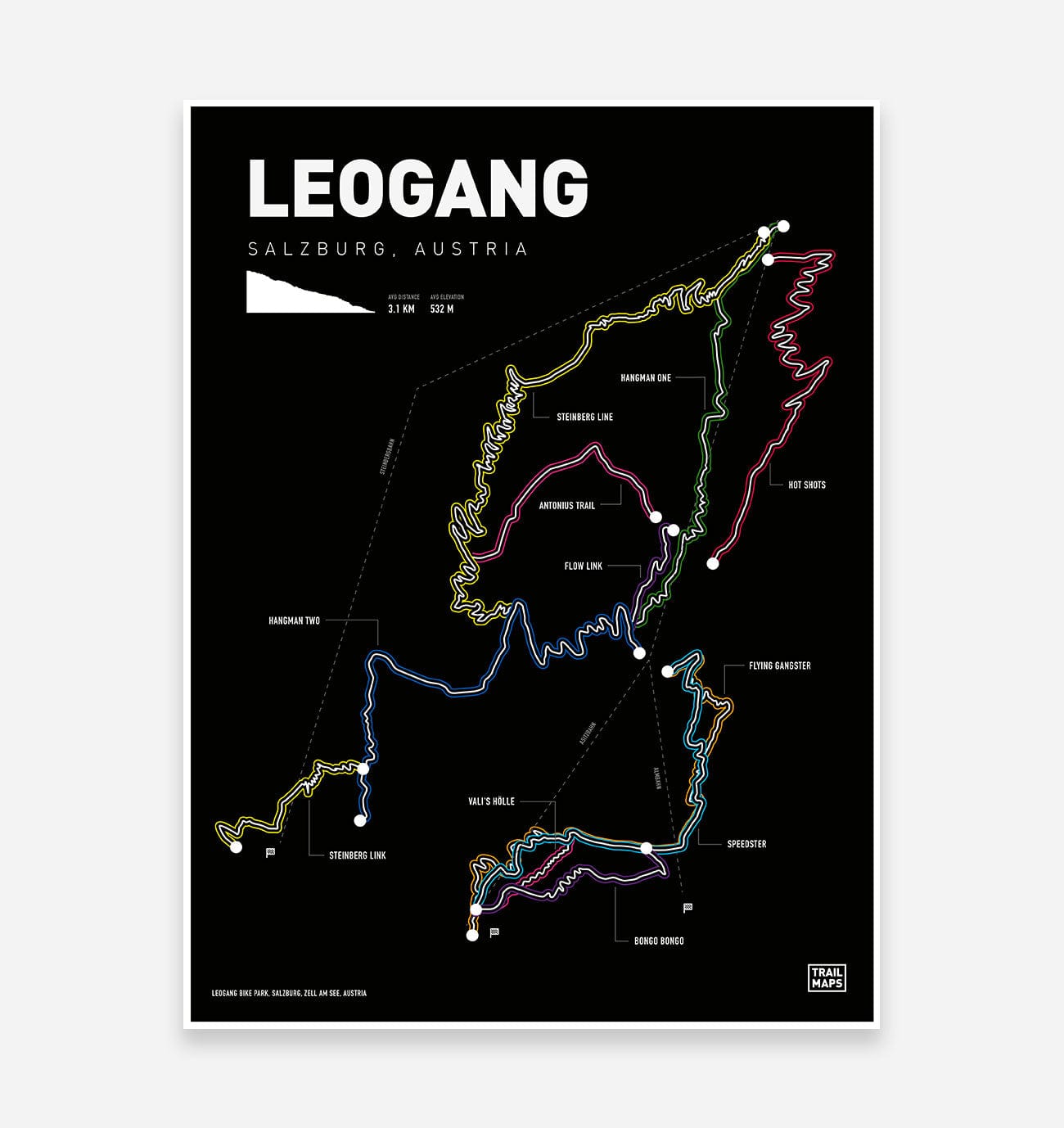 Leogang Bike Park Art Print