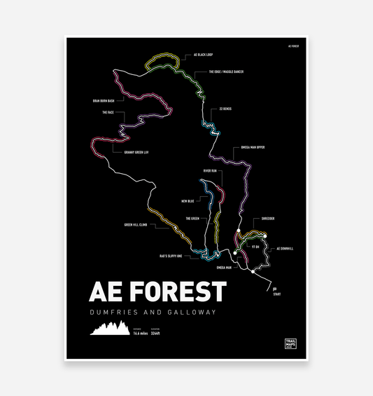 Ae Forest Mountain Bike Trail Art Print