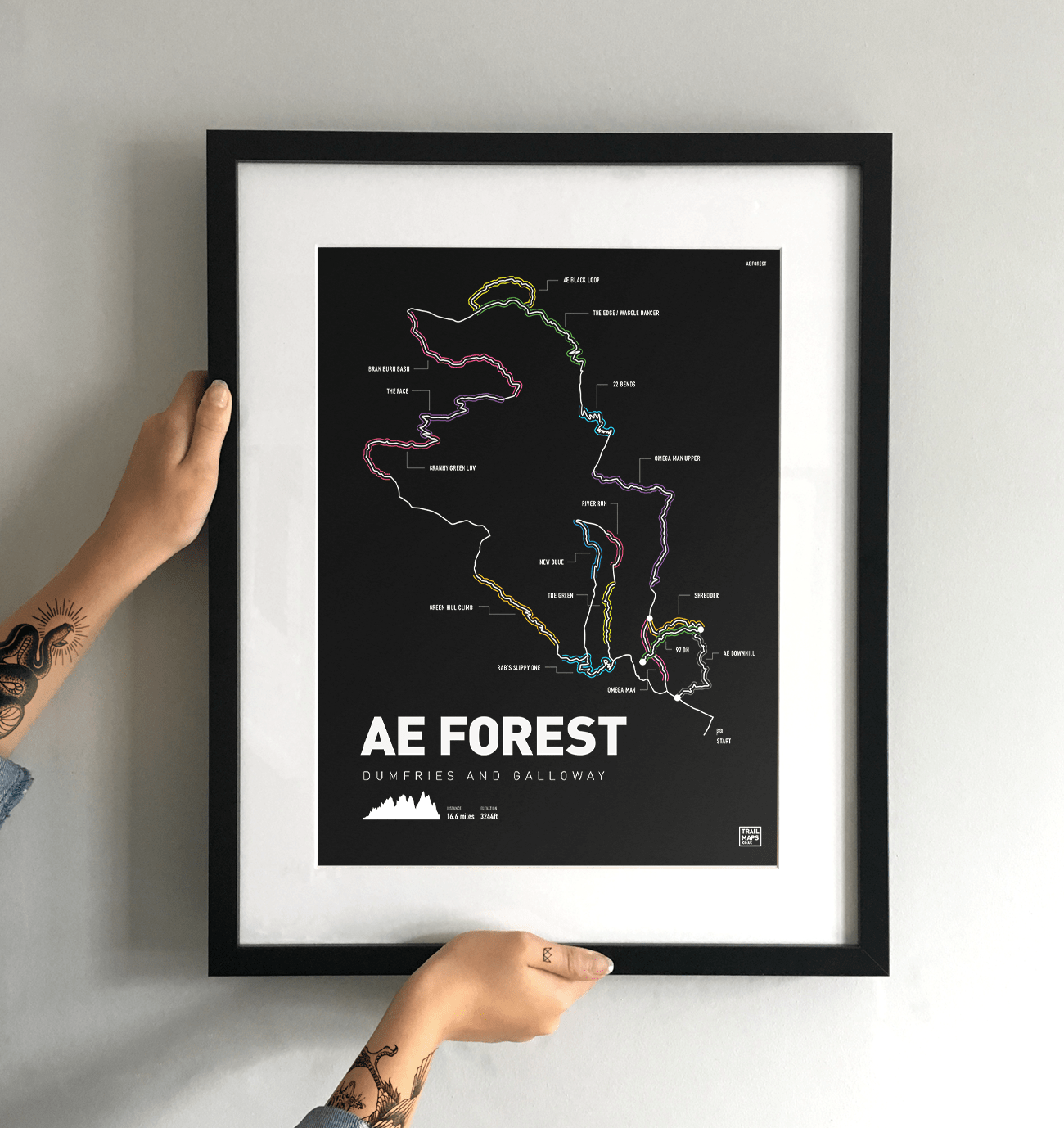 Ae Forest Mountain Bike Trail Kunstdruck