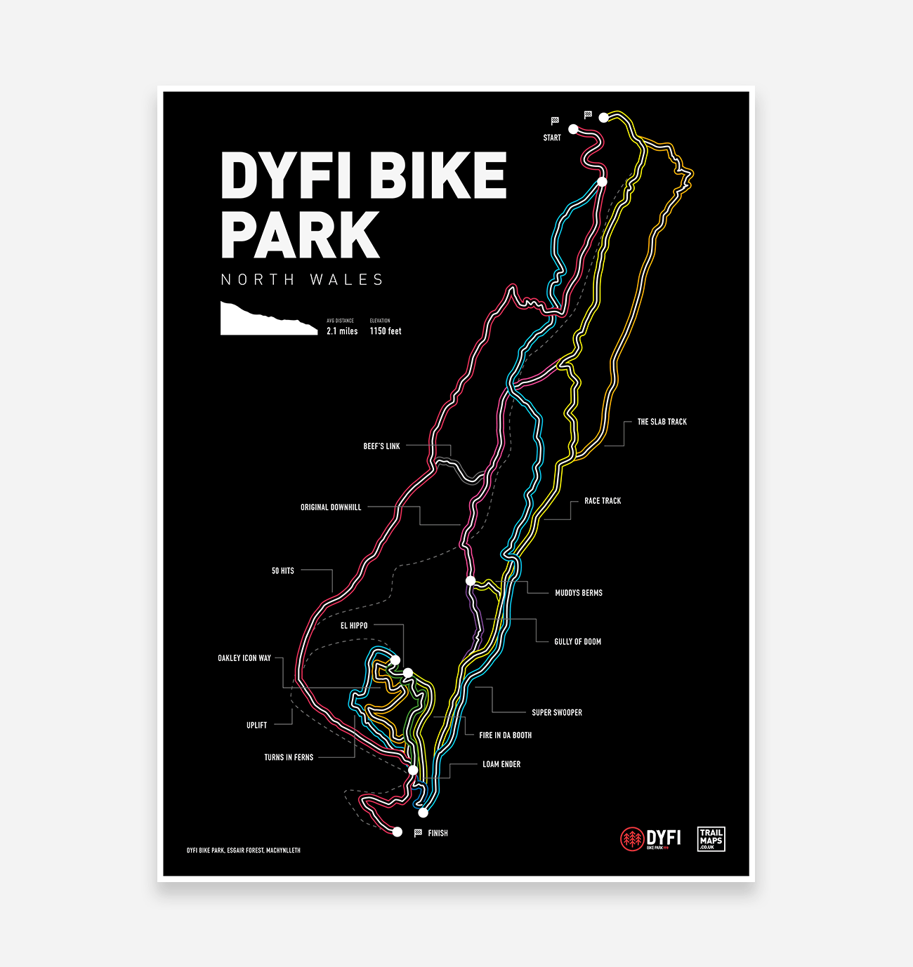 Dyfi Bike Park Art Print