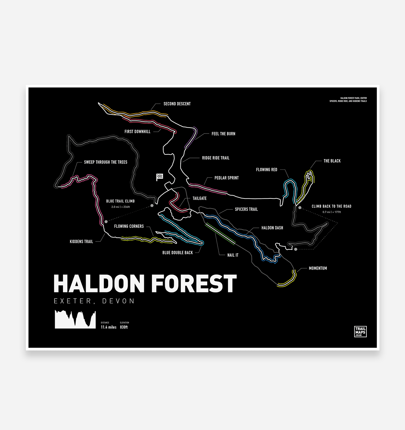 Haldon Forest Art Print - TrailMaps.co.uk