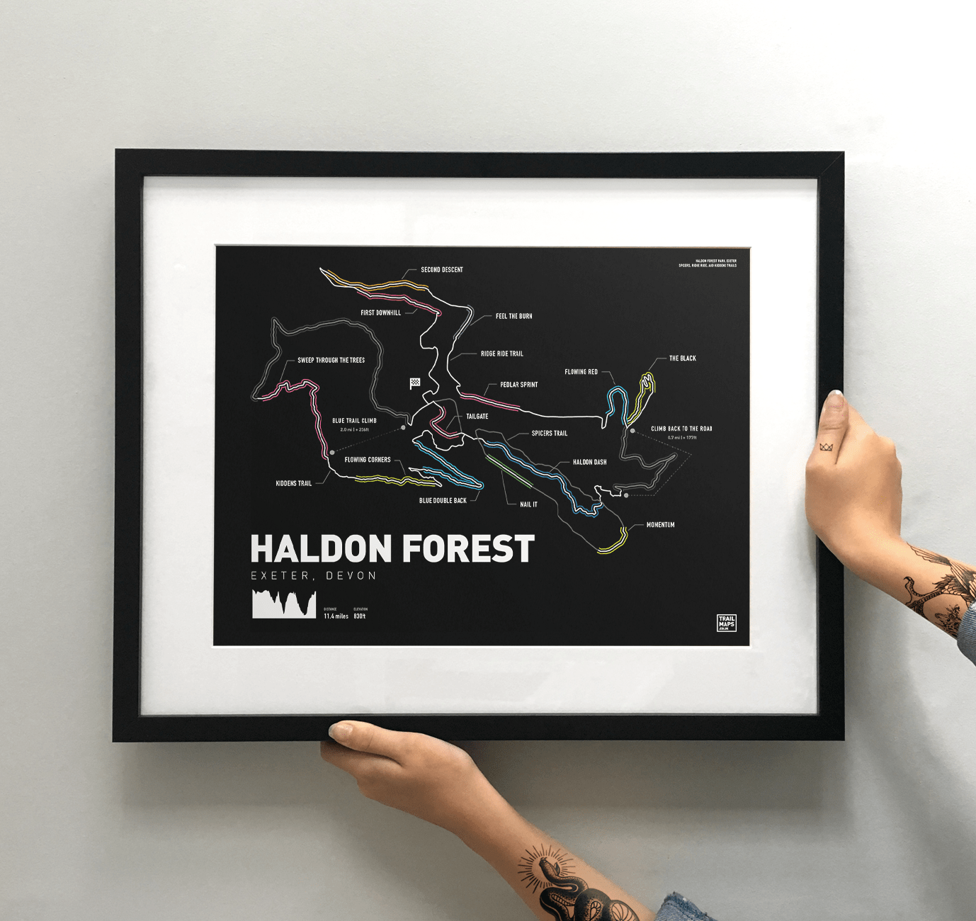 Haldon Forest Art Print - TrailMaps.co.uk