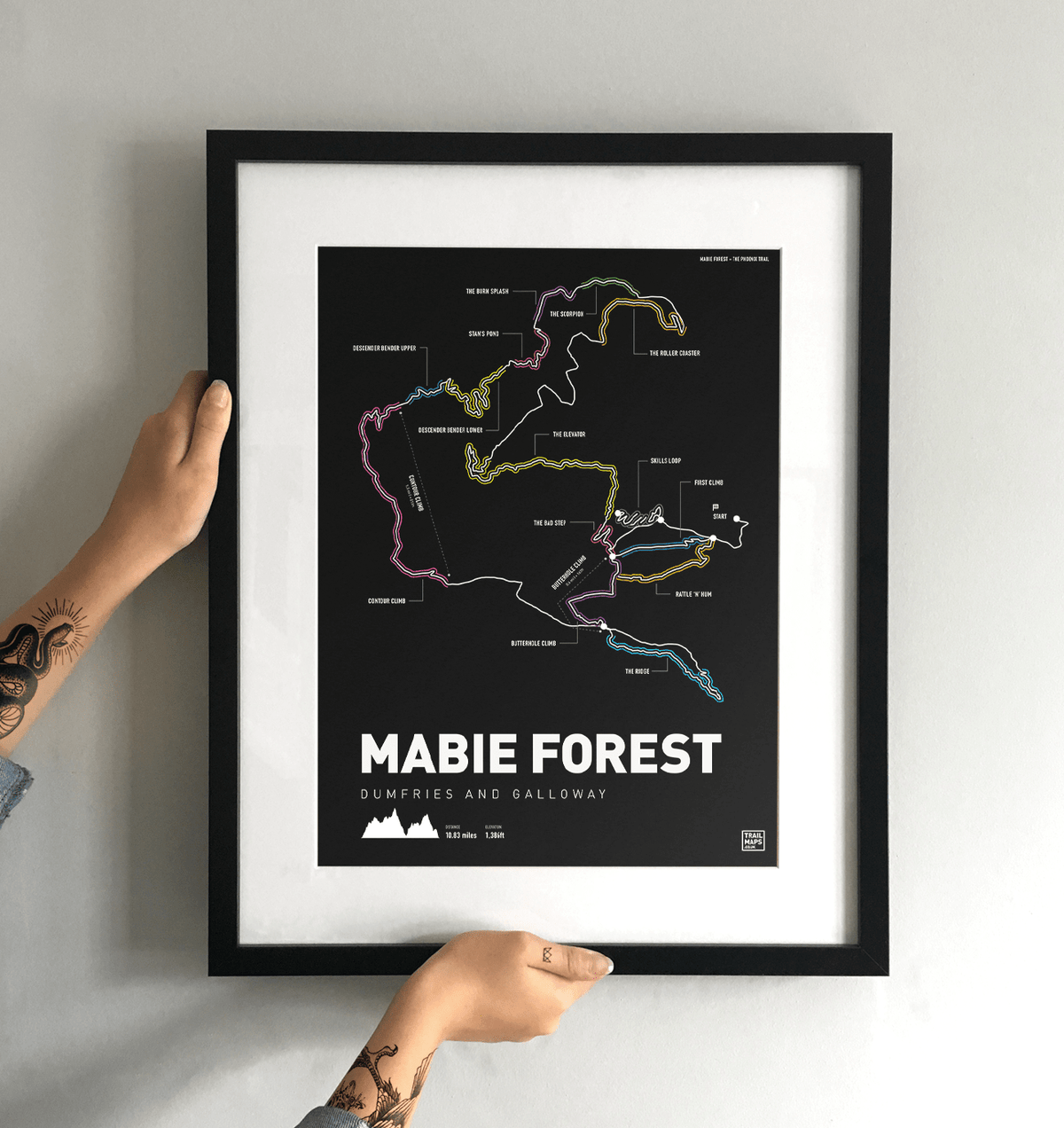 Mabie Forest Mountain Bike Trail Art Print - TrailMaps