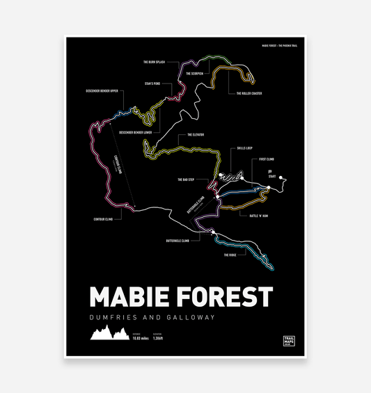 Mabie Forest Mountain Bike Trail Art Print