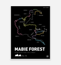 Mabie Forest Mountain Bike Trail Art Print - TrailMaps