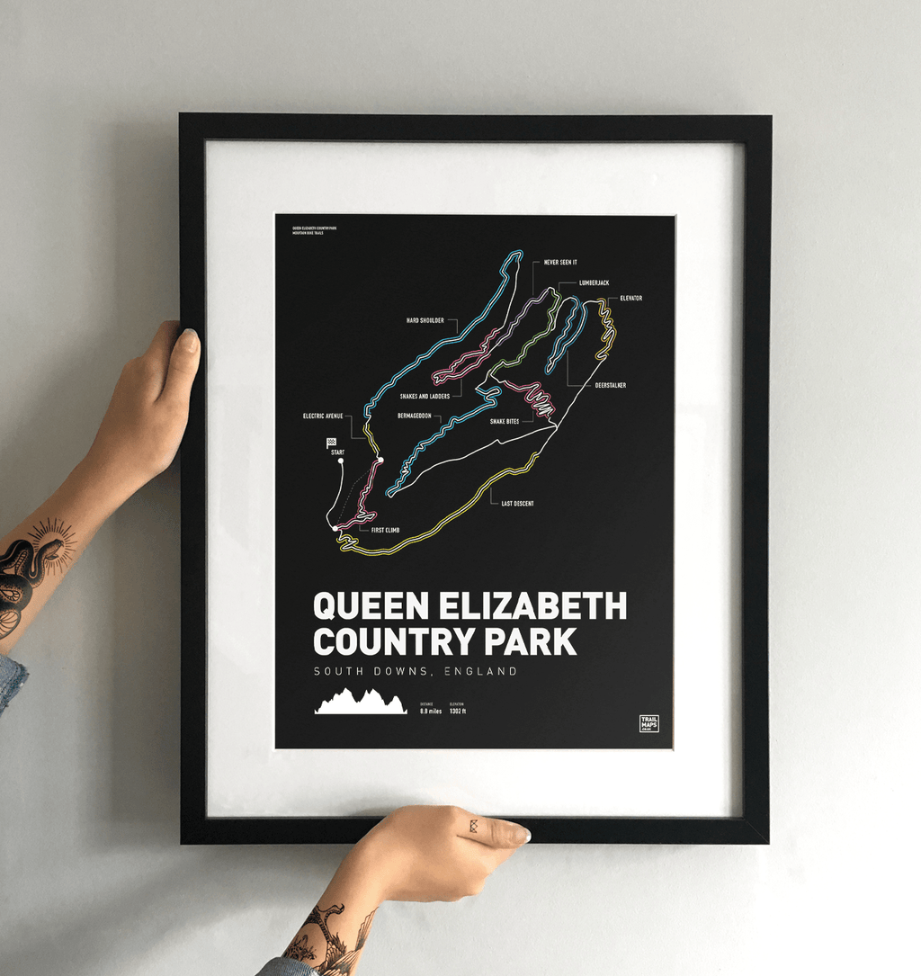 Queen Elizabeth Country Park Art Print - TrailMaps.co.uk