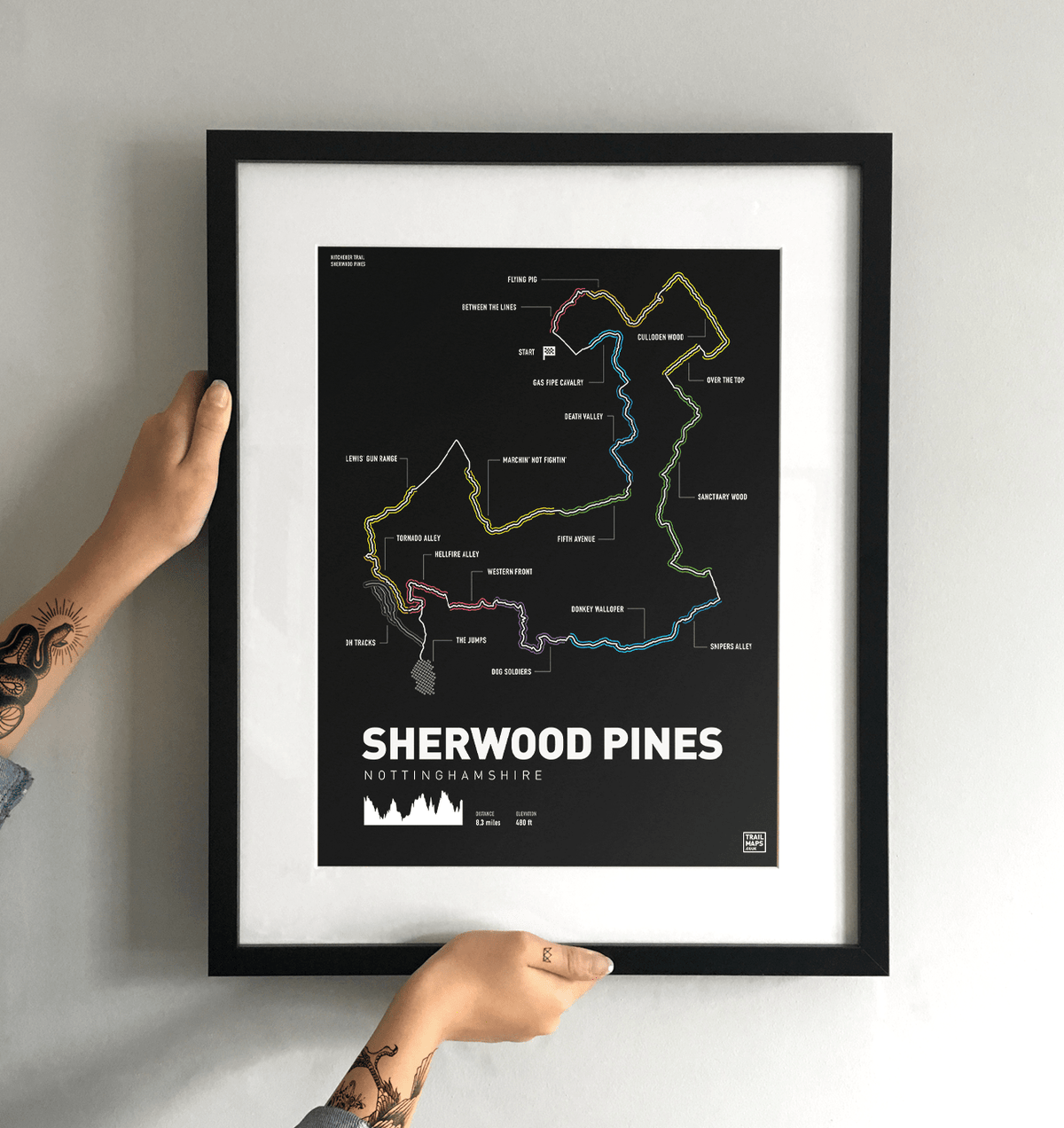 Sherwood Pines Kitchener Trail MTB Art Print - TrailMaps